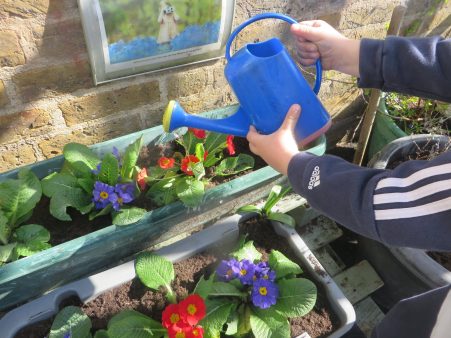 Mission Statement Image